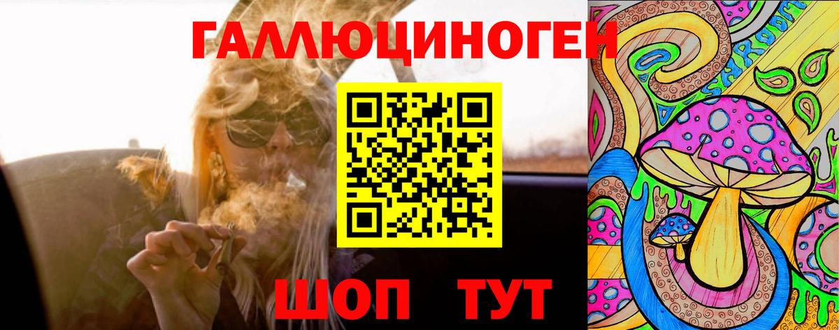 Псилоцибиновые грибы прущие грибы Новодвинск