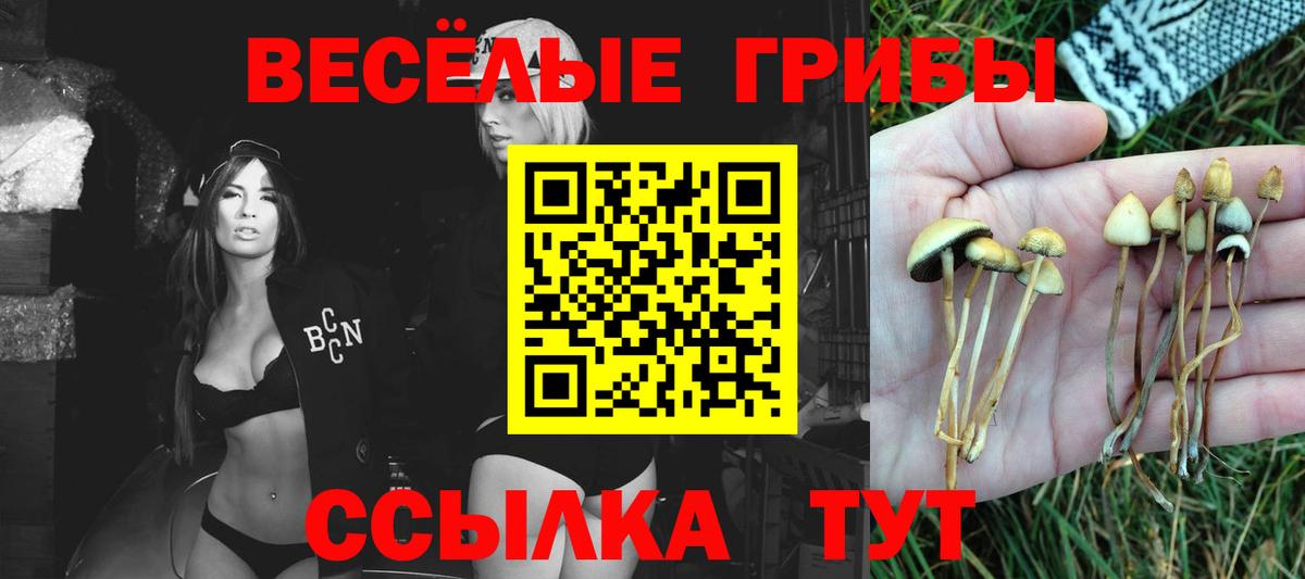 Псилоцибиновые грибы прущие грибы  Вход с VPN  Новодвинск 
